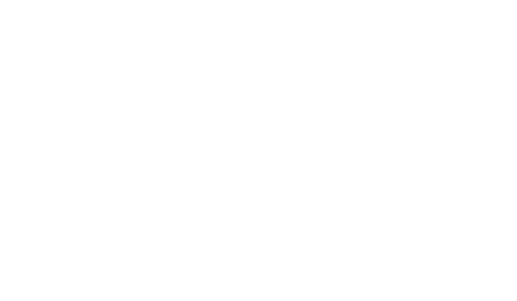 Nathan Allen Construction Inc